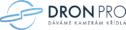 Dronpro logo